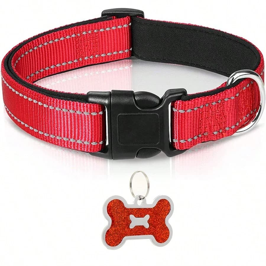 Red collar / XS（old）