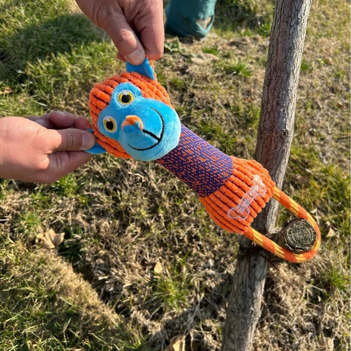 Monkey