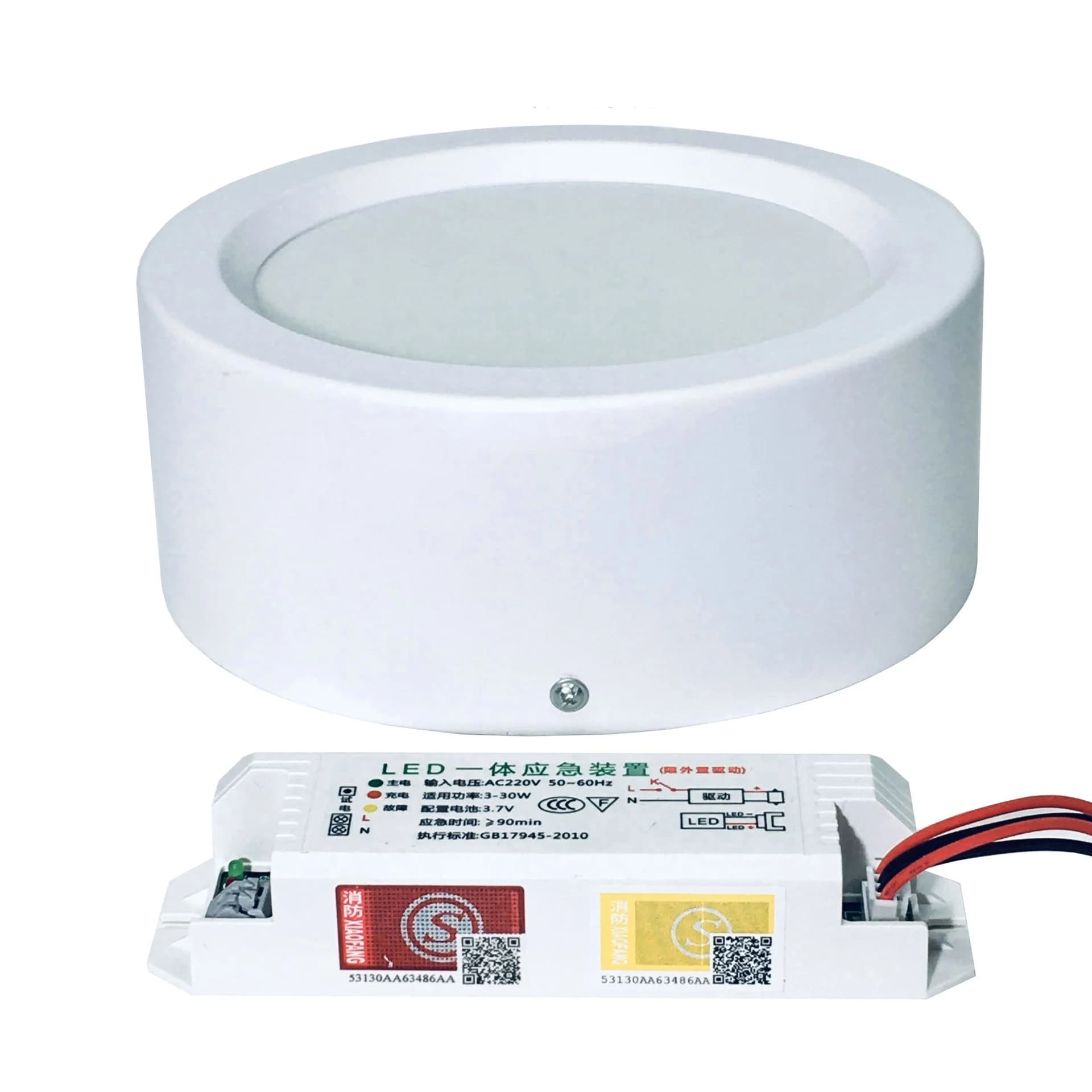 LED Emergency Light, Smart Lamp, Surface Mounted, Downlight, Lighting, Dual Surface, 5Inch, 12W