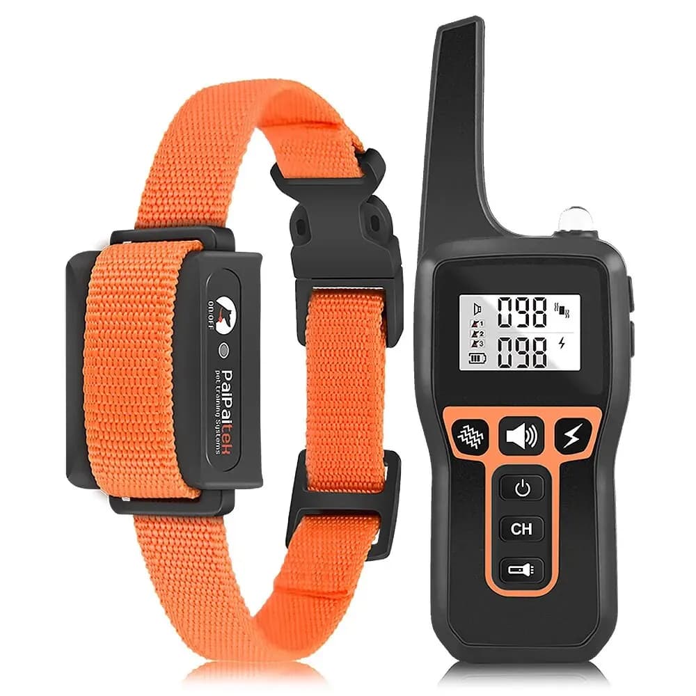 Orange Nylon Collar