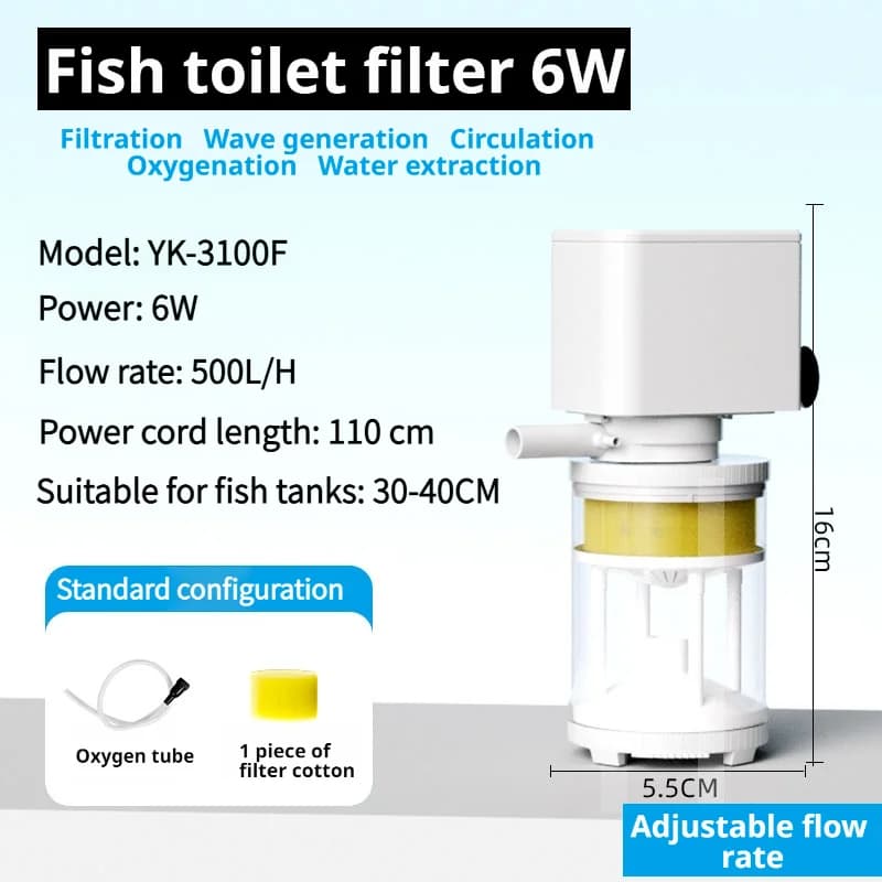 6W
