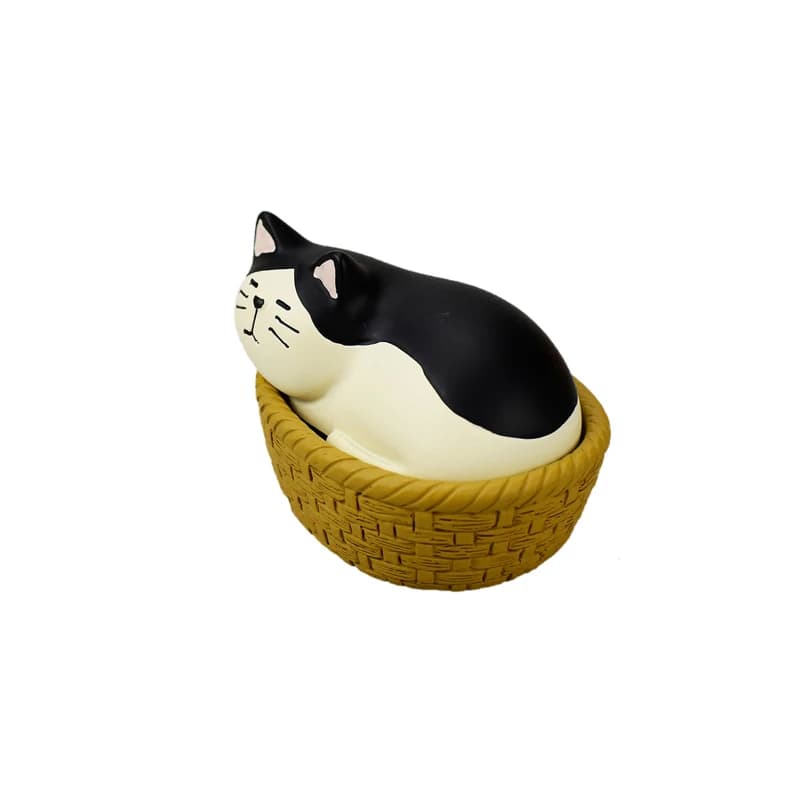 Cat Nest  B / M