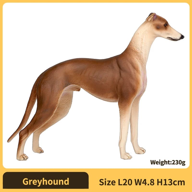 Greyhound