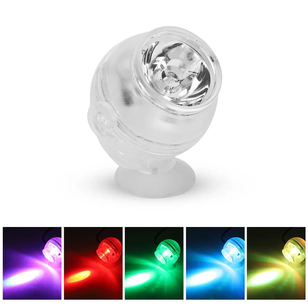 Multicolor Light