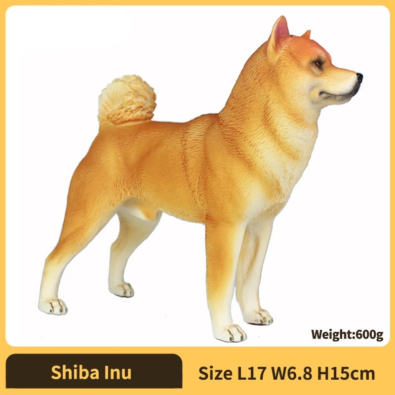 Shiba Inu