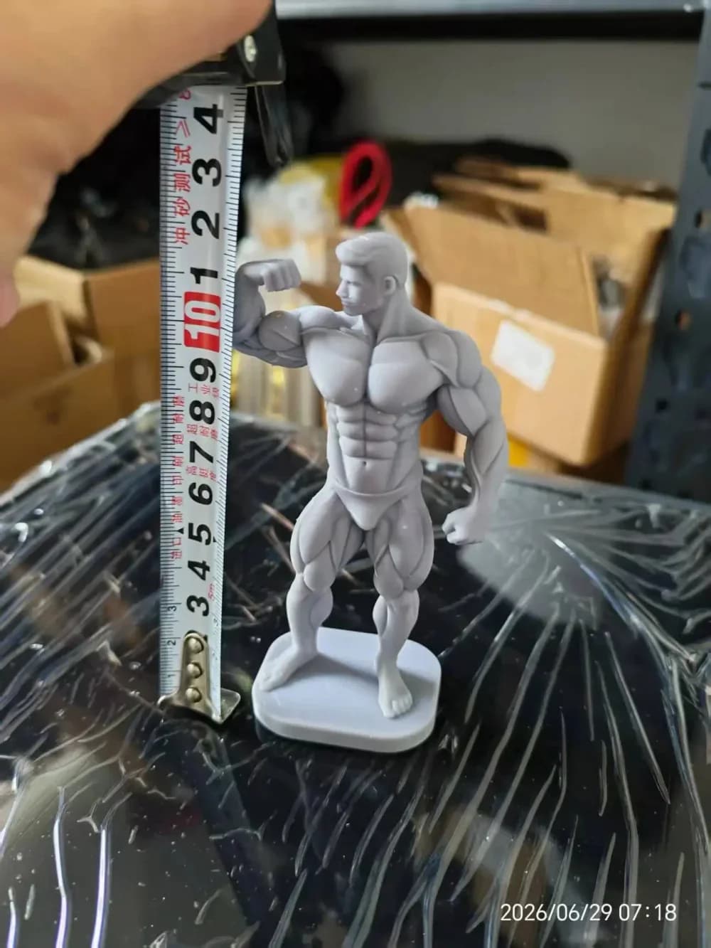 Gray / 12.3cm / CN