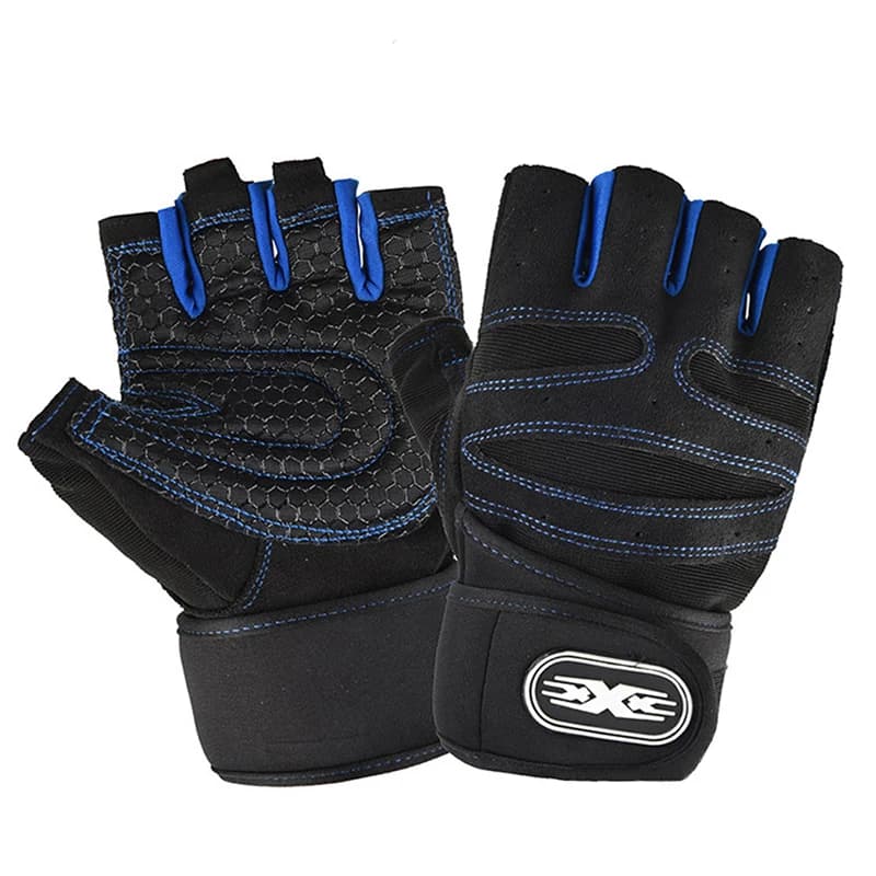 Black and blue / L