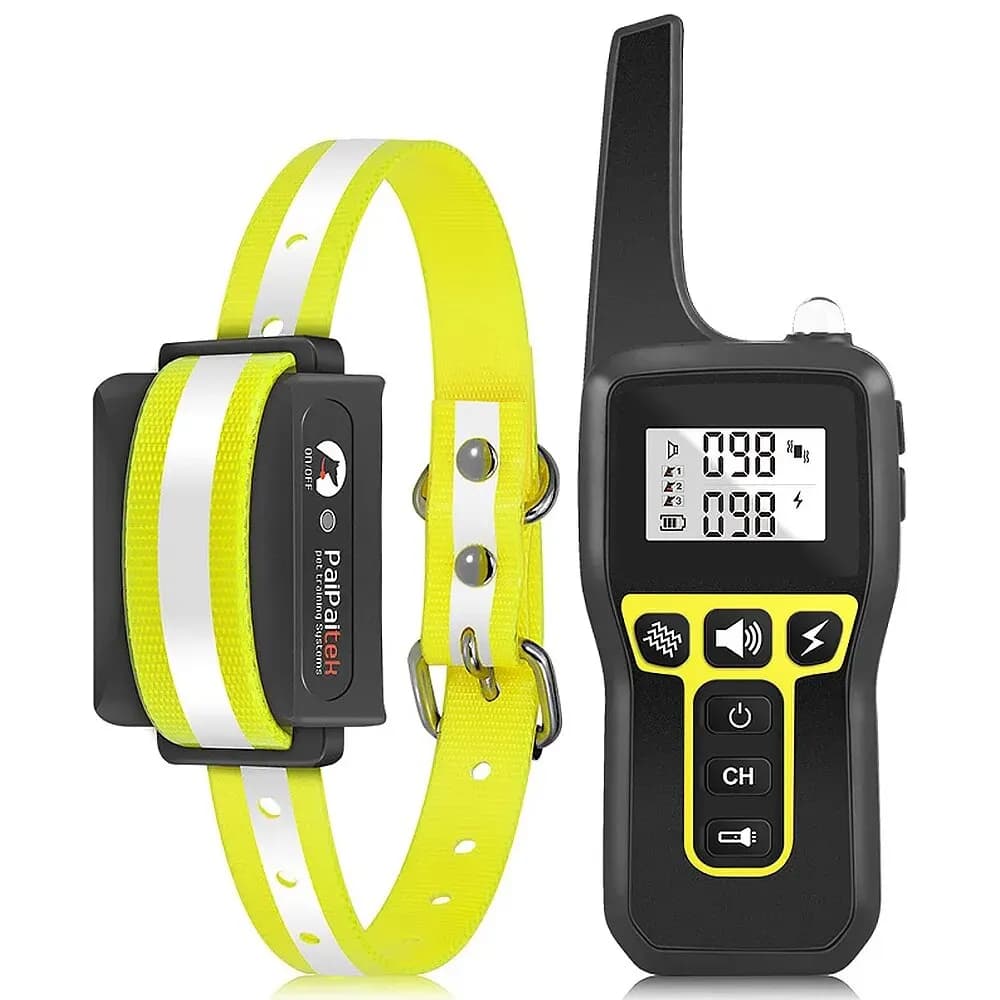 Yellow 1 Collar