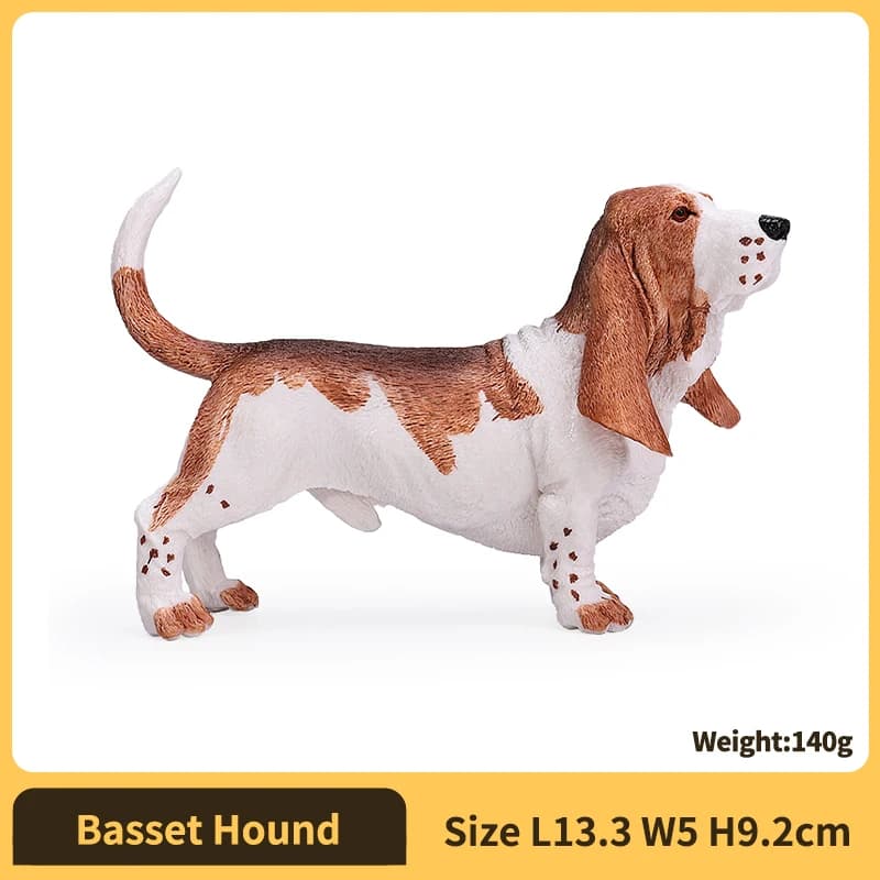 Basset Hound