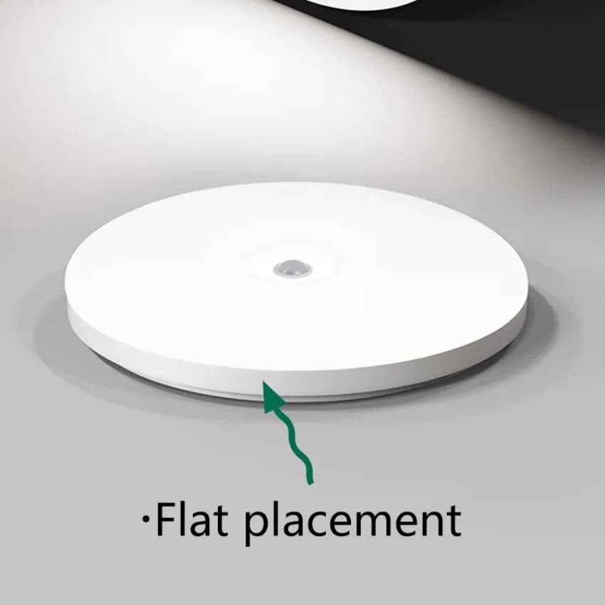 LED Ceiling Light With Motion Sensor