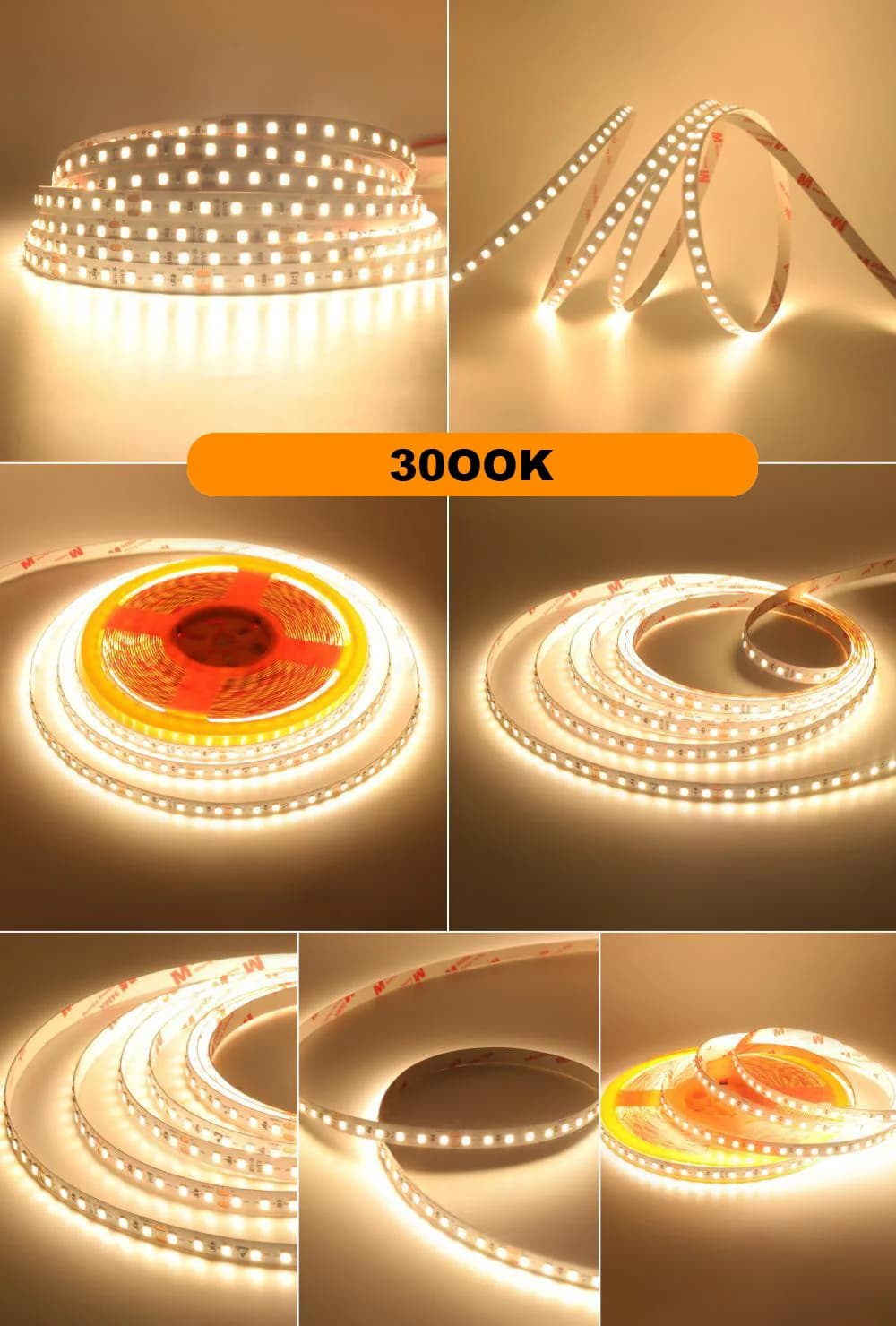 3000K / 10m 24V