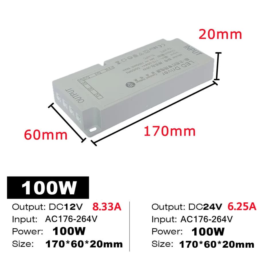 100W / DC 12V / EU Plug