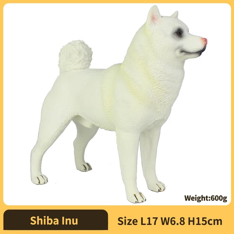 Shiba Inu