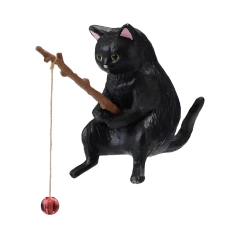 black cat