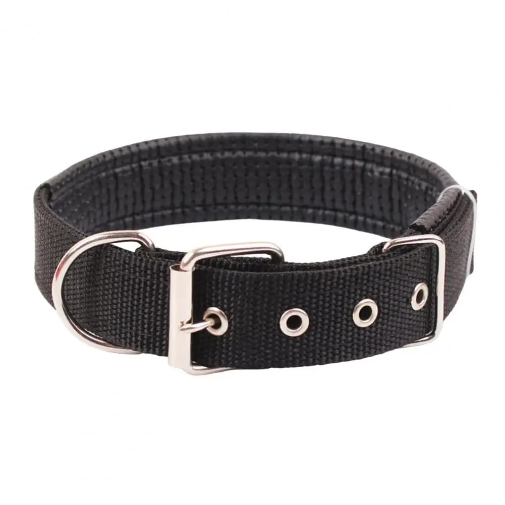 Black / L