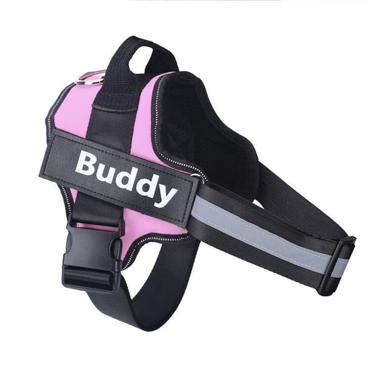 Pink / XXL