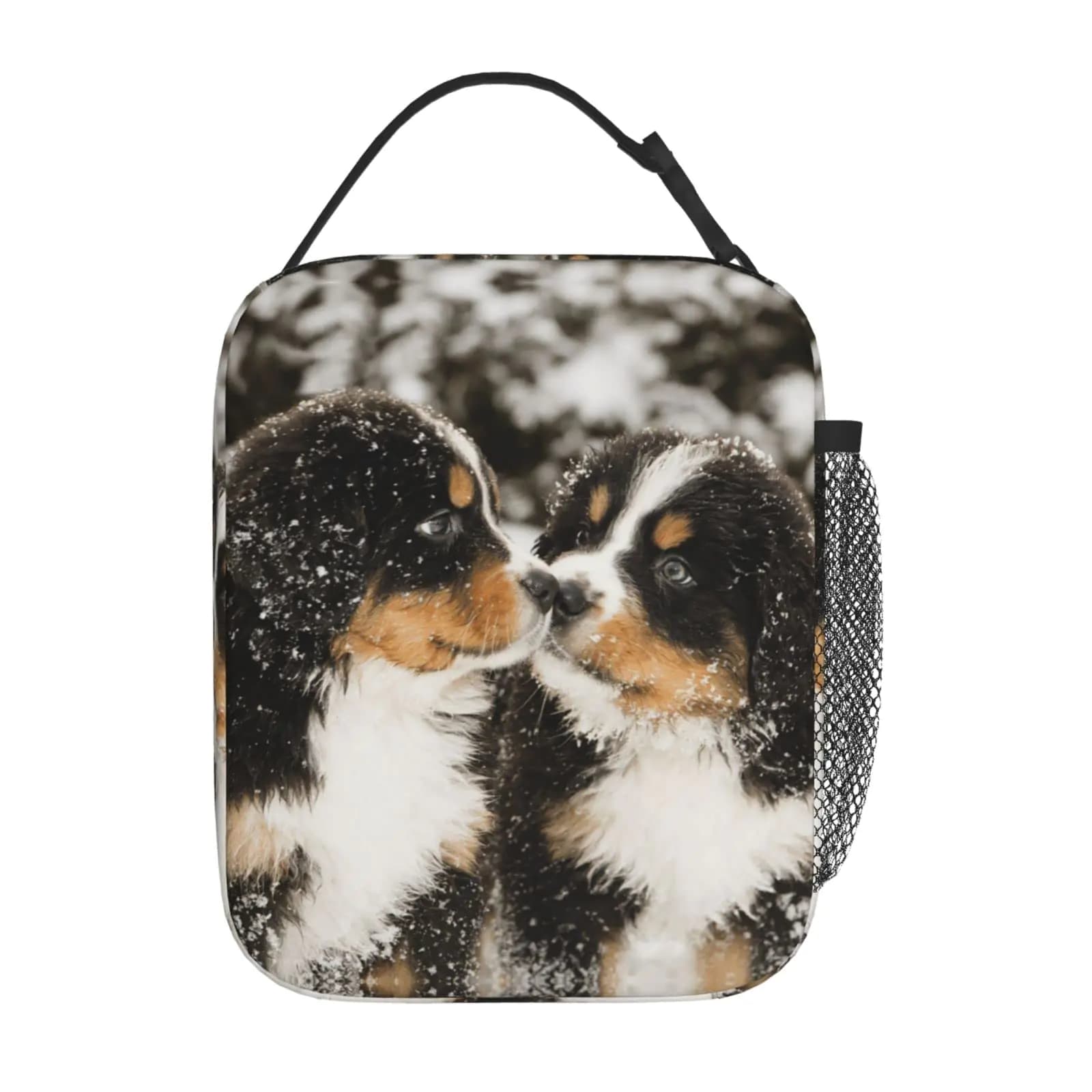 Boys and Girls Insulated Lunch Box Bag