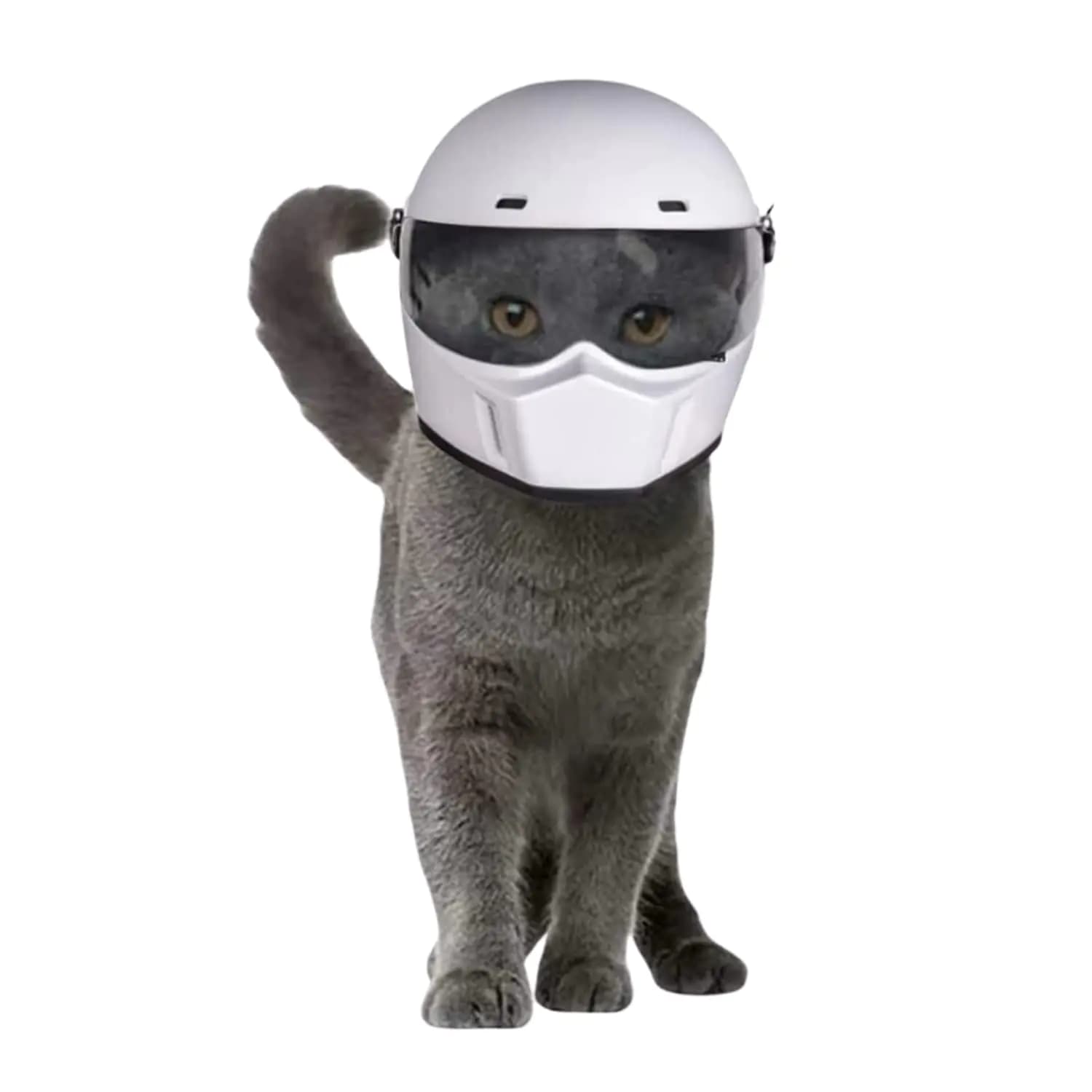 Pet Motorcycle Helmet Full Face Motorcycle Helmet Outdoor Motorcycle Bike Riding Helmet Hat for Cat Dog Doggie Puppy Kitten Helmet Pet Supplies Racing Car Fan Collectible Small Gift (White)