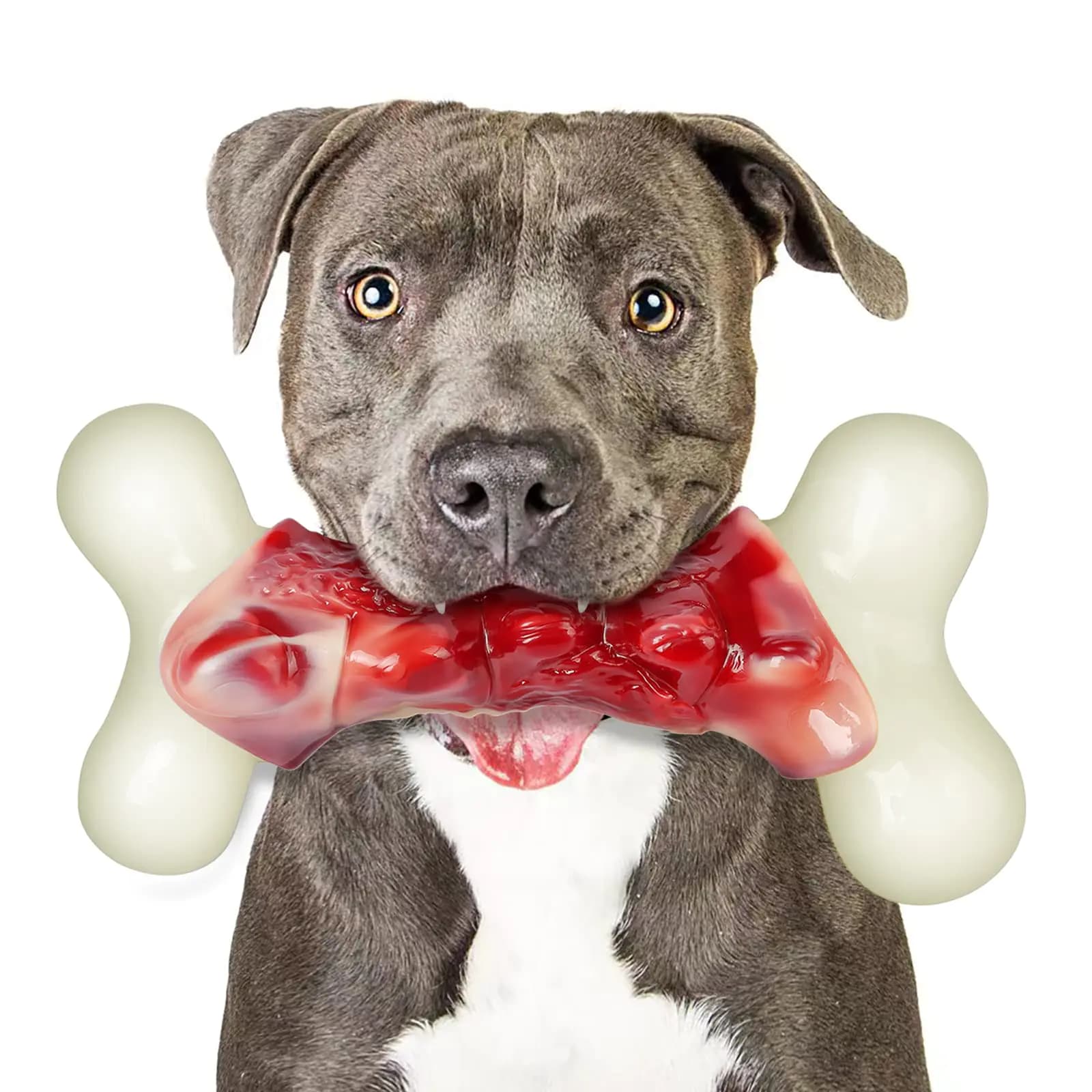 Indestructible Bacon Flavored Dog Chew Toys