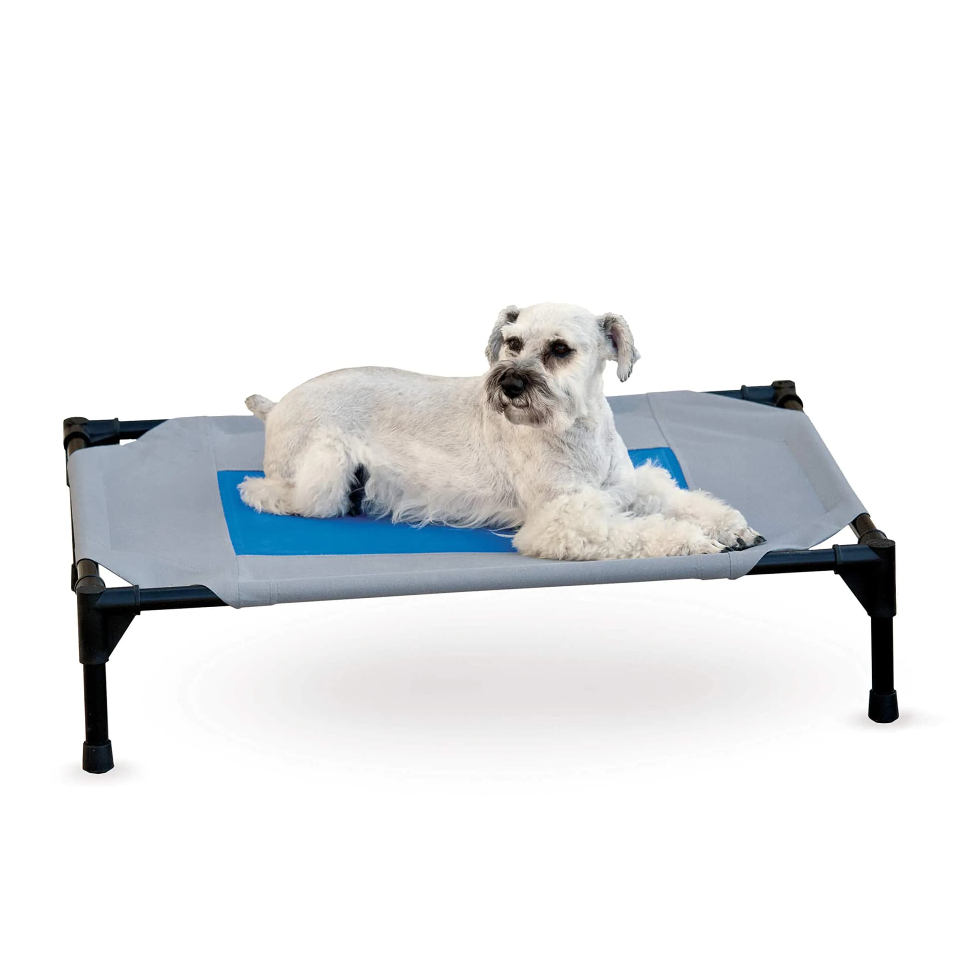 K&H Pet Products Coolin Pet Cot Elevated Dog Cooling Mat Cool Dog Cot for Medium Dogs Dog Camping Gear Outdoor Raised Dog Bed with Cooling Center - Gray/Blue Medium 25 X 32 X 7 Inches