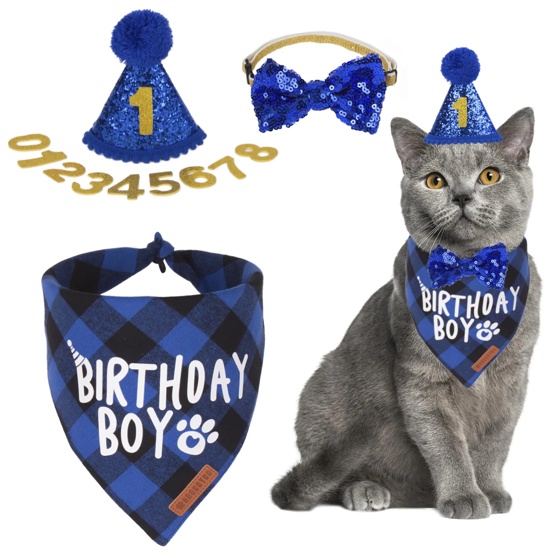 Cat Birthday Party Hat Bandana Bowtie Set Blue