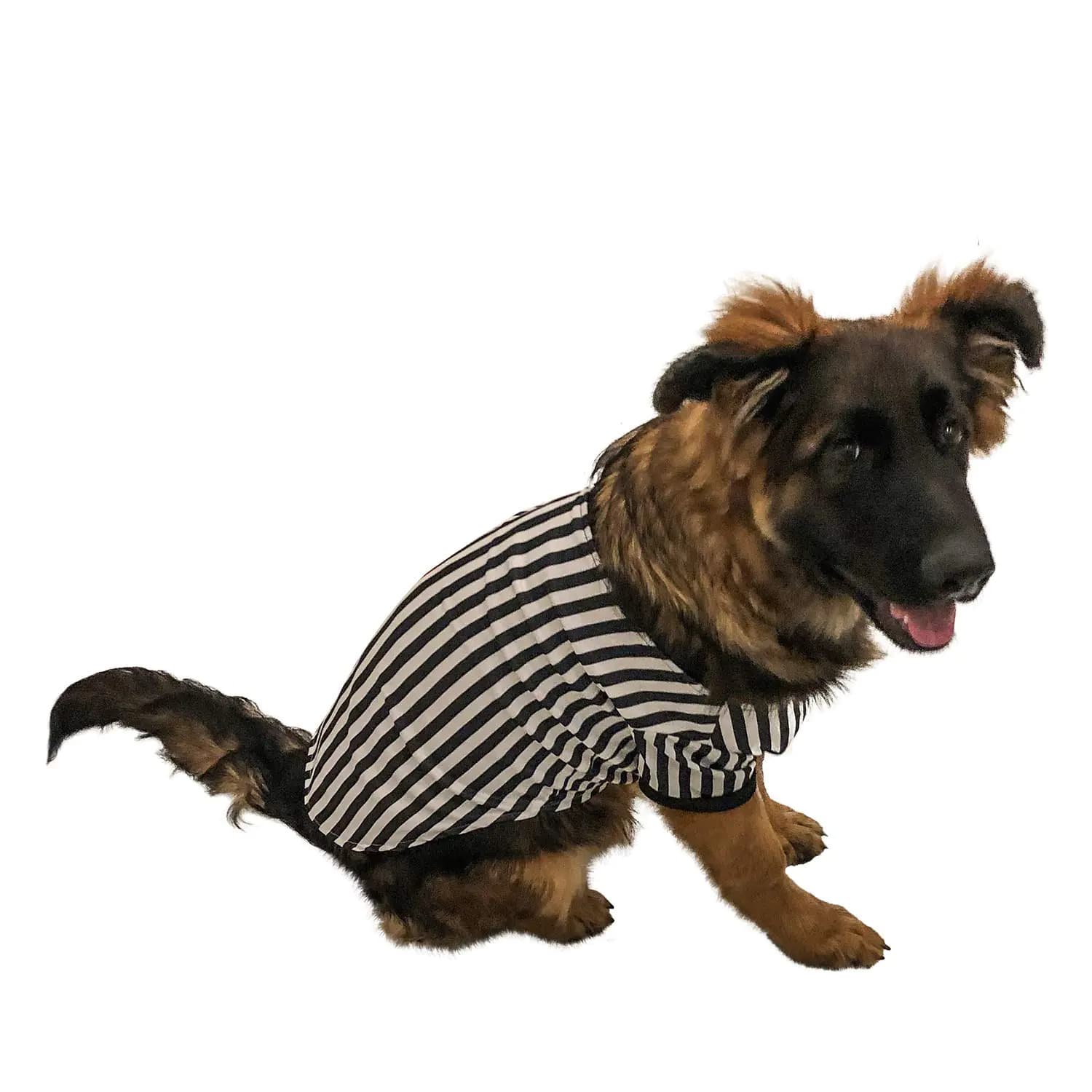 Midlee Referee Dog Halloween Costume (Large)