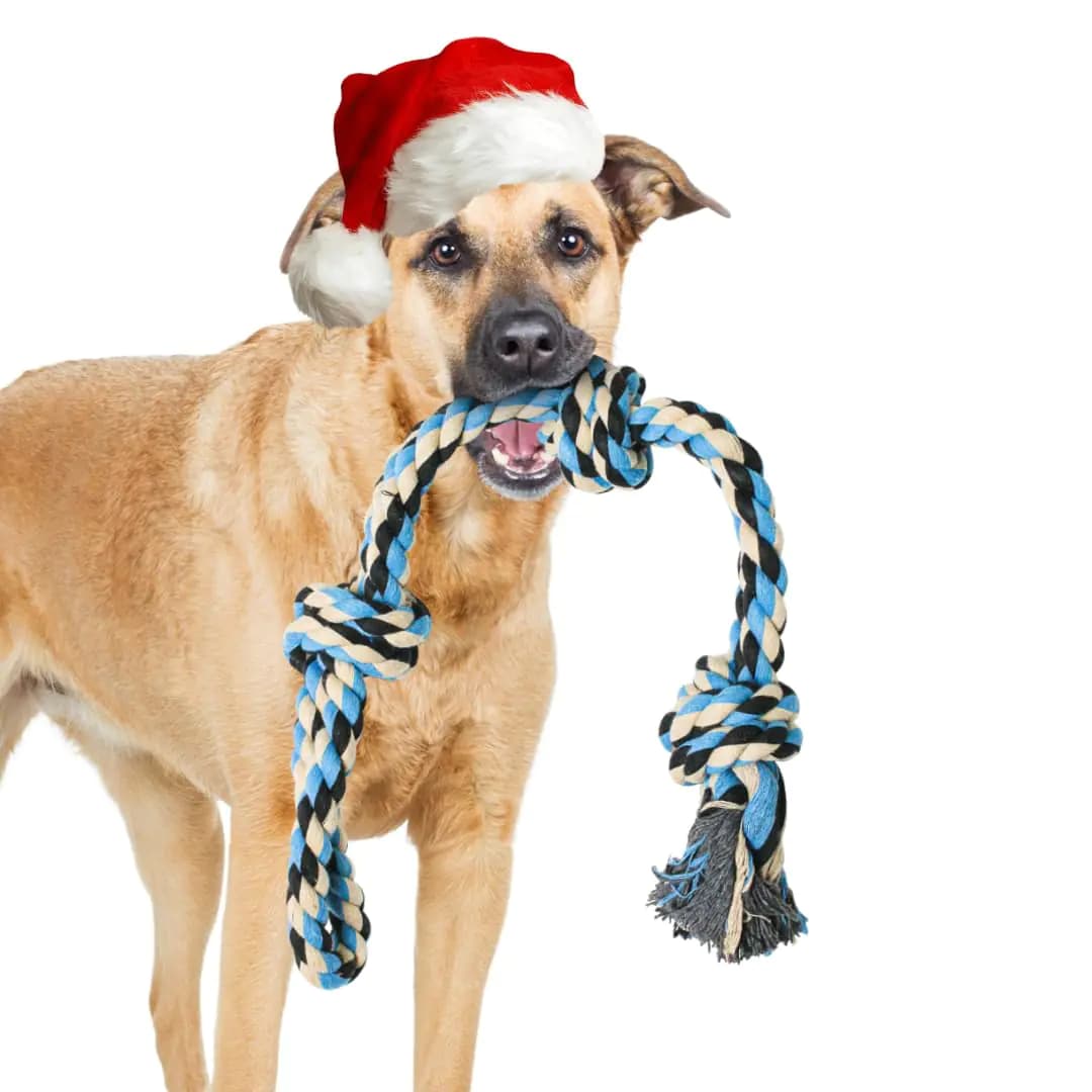 XL Durable Rope Toy For Aggressive Chewers Blue