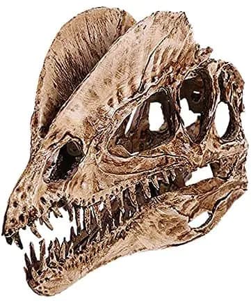 T-Rex Skull Dinosaur Resin Craft Gifts Home Decor Replica Fish Tank Statue Tyrannosaur Skull Skeleton Aquarium Decoration (A)